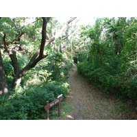 Photo Îles Fidji Parc des dunes de Sigatoka 2010-05 18