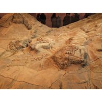 Photo France Paris Grand Palais 2012-01 77