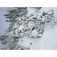 Photo France Megève 2016-02 45