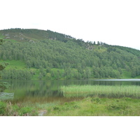 Photo Royaume-Uni Écosse Route de Forres à Aviemore 2011-07 21