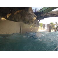 Photo Émirats arabes unis Dubai Dubai Aquaventure 2012-01 22