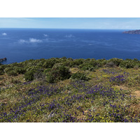 Photo France Corse Capo Rosso 2023-05 19
