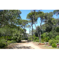 Photo France Ile de Porquerolles Plaine de la courtade 2008-05 38