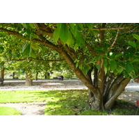 Photo France Paris Jardin des Plantes 2007-08 169