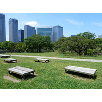 Photo Japon Tokyo Jardins Hama rikyu 2010-06 6