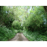 Photo Royaume-Uni Pembrokeshire 2006-05 45