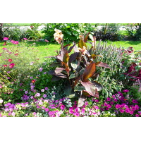 Photo France Paris Jardin des Plantes 2007-08 224