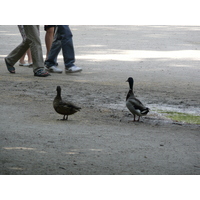 Photo France Paris Jardin des Tuileries 2007-05 358