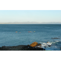 Photo Afrique du Sud Harmanus 2008-09 152