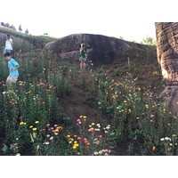 Photo Thaïlande Parc National Phu Hin Rong Kla 2014-12 306
