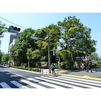 Photo Japon Tokyo Ueno 2010-06 77