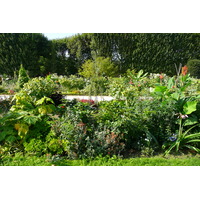 Photo France Paris Jardin des Plantes 2007-08 8