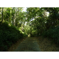 Photo Îles Fidji Parc des dunes de Sigatoka 2010-05 9