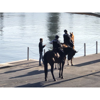 Photo France Paris Pont Alexandre III 2020-06 0