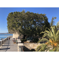Photo Italie Sicile Ortigia 2020-02 158