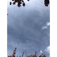 Photo France Parc de Sceaux 2019-04 59