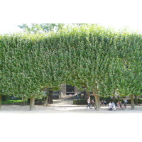 Photo France Paris Jardin des Plantes 2007-08 187