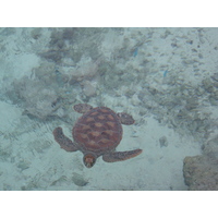 Photo Polynésie Hotel Meridien Bora Bora 2006-04 169