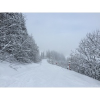 Photo France Megève 2016-02 77