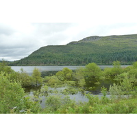 Photo Royaume-Uni Écosse Route de Aviemore à Loch Laggan 2011-07 0