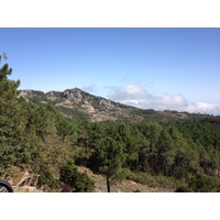 Photo France Corse Forêt de l'Ospedale 2012-09 1