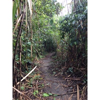 Photo Costa Rica Cahuita 2015-03 124