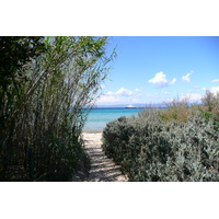 Photo France Ile de Porquerolles Plaine de la courtade 2008-05 44