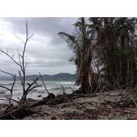 Photo Costa Rica Cahuita 2015-03 204