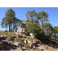 Photo France Corse Forêt de l'Ospedale 2012-09 11