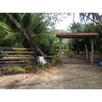 Photo Costa Rica Montezuma 2015-03 165