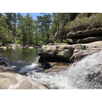 Photo France Corse Forêt d'Aïtone 2021-06 31
