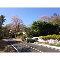 Photo Panama Ile de Contadora 2015-03 165