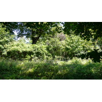 Photo France Paris Jardins du Ranelagh 2007-08 26