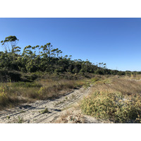 Photo France Corse San Giuliano 2018-09 24