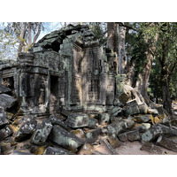 Photo Cambodge Siem Reap Ta Prohm 2023-01 69