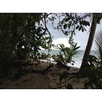 Photo Costa Rica Cahuita 2015-03 64