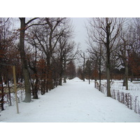 Photo Autriche Vienne 2005-03 2