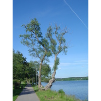 Photo Suède Sigtuna 2005-06 35