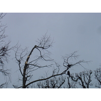 Photo Autriche Vienne 2005-03 52