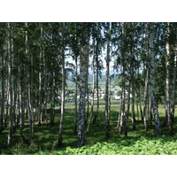 Photo Russie Oural 2006-07 29