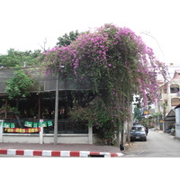 Photo Thaïlande Chiang Mai Centre(intra Canal) Rue Arrak (Canal) 2006-04 15