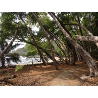 Photo Costa Rica 2015-03 65