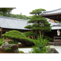 Photo Japon Kyoto Temple Kinkaku-ji (Pavillon d'or) 2010-06 20