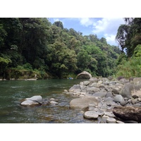 Photo Costa Rica Rivière Pacuare 2015-03 41