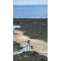 Photo France Préfailles La pointe Saint Gildas à La Pree 2007-08 27