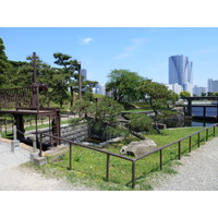 Photo Japon Tokyo Jardins Hama rikyu 2010-06 86
