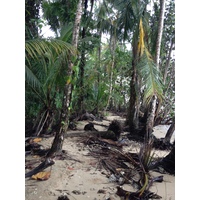 Photo Costa Rica Cahuita 2015-03 51