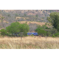 Photo Afrique du Sud route de Nelspruit à Johannesburg 2008-09 160