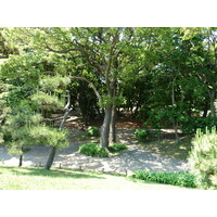 Photo Japon Tokyo Jardins Hama rikyu 2010-06 0