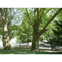 Photo France Paris Parc des Buttes-Chaumont 2007-08 273